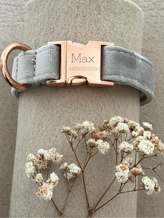 Halsband Bowie met naam
