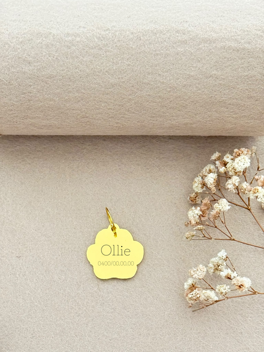 Huisdierpenning Ona met glitter